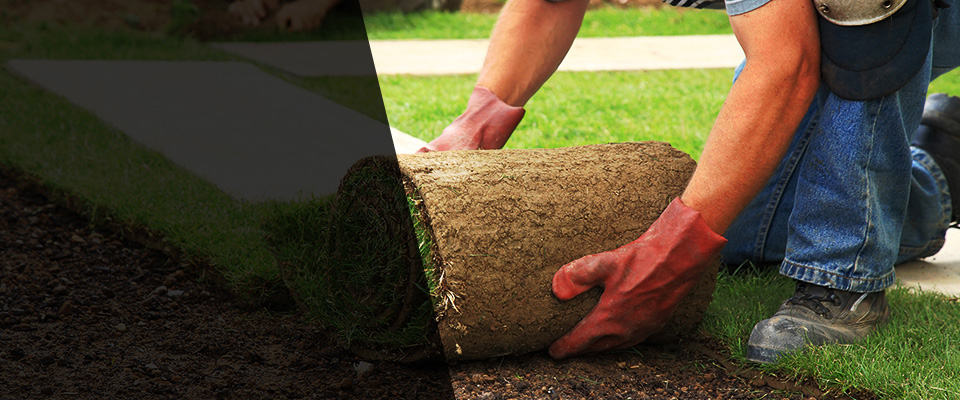 Muscle Shoals Landscapers